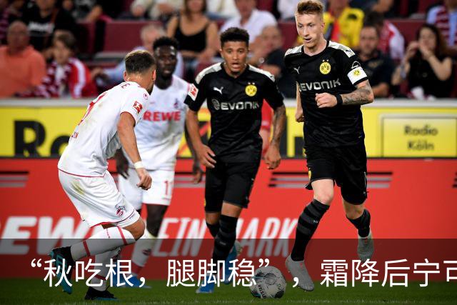 “秋吃根，腿脚稳”，霜降后宁可不吃肉，也要吃这3种“根”菜，润燥健脾元气足，腿脚有劲过秋冬！