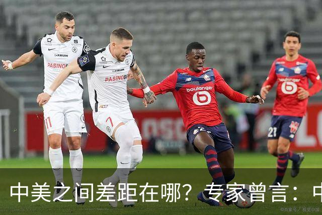 中美之间差距在哪？专家曾言：中国从14亿中选人才，而美国是83亿