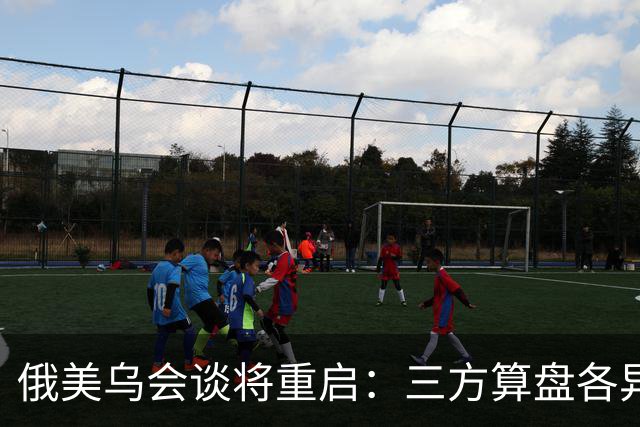 俄美乌会谈将重启：三方算盘各异，停火前景几何？