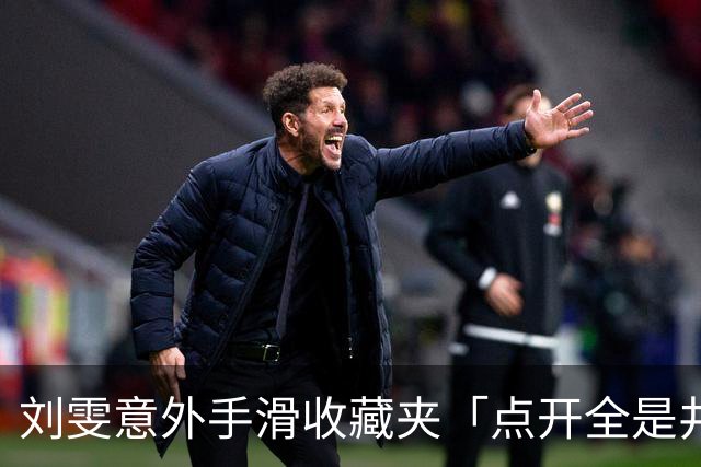 刘雯意外手滑收藏夹「点开全是井柏然」 全网一看被闪瞎：太甜了