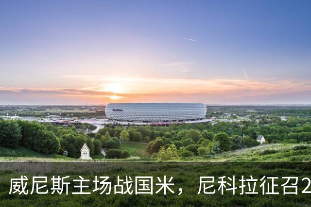 威尼斯主场战国米，尼科拉征召29名球员