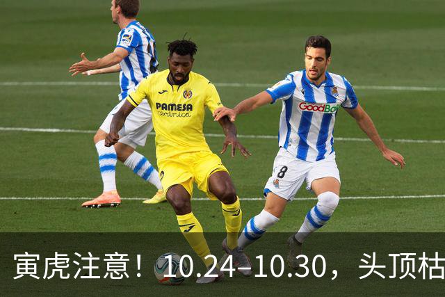 寅虎注意！10.24–10.30，头顶枯藤将断，有贵人伸手拉你一把