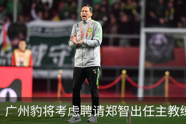 广州豹将考虑聘请郑智出任主教练，未来将挑大梁，值得期待