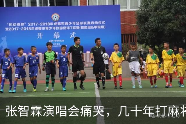 张智霖演唱会痛哭，几十年打麻将好友离世，袁咏仪台下红着眼哽咽