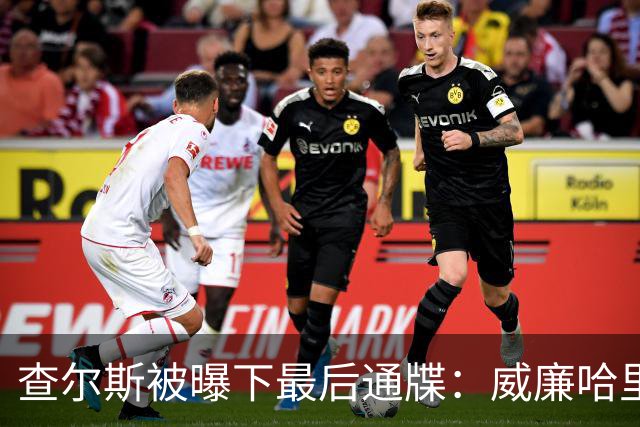 查尔斯被曝下最后通牒：威廉哈里必须公开同框