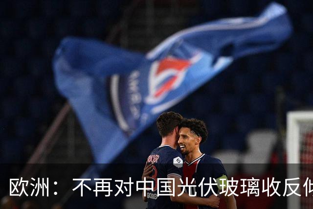 欧洲：不再对中国光伏玻璃收反倾销税！因为, 欧洲同类企业死绝了