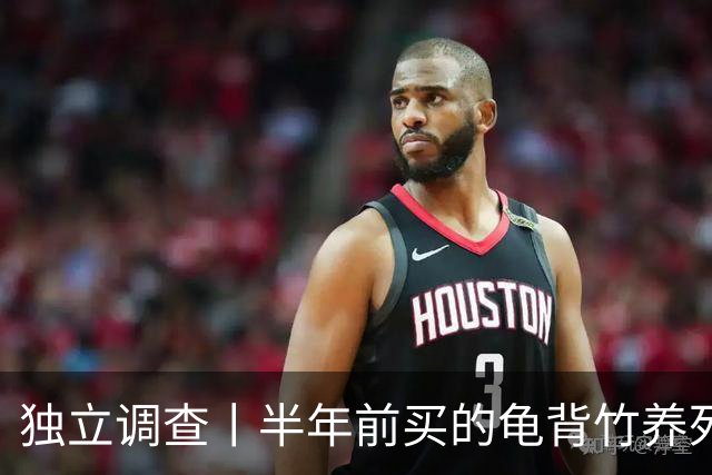 独立调查丨半年前买的龟背竹养死了，也要“仅退款”：商家拒绝后被投诉到闭店，还被告上法庭