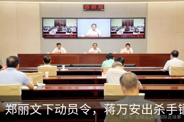郑丽文下动员令，蒋万安出杀手锏，卢秀燕设防线，朱立伦挺赵少康